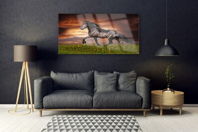 Glass Print Black horse meadow animals black green red