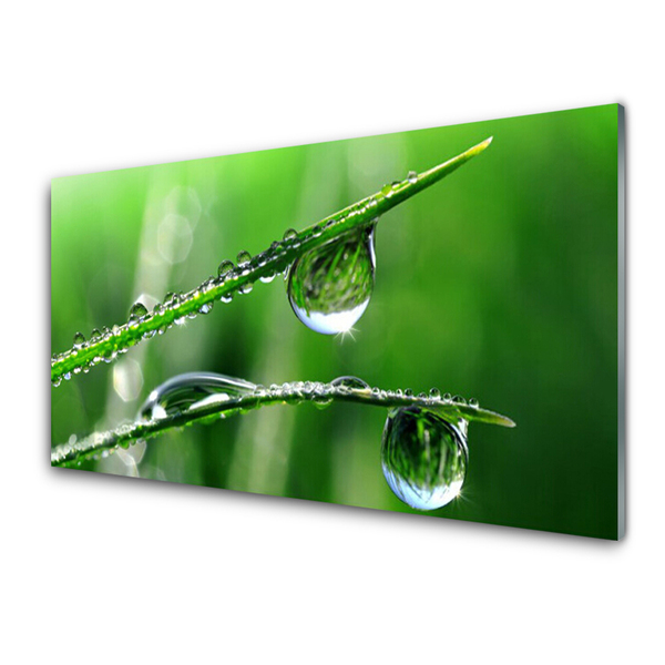 Glass Print Grass dew drops floral green