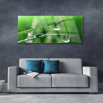 Glass Print Grass dew drops floral green