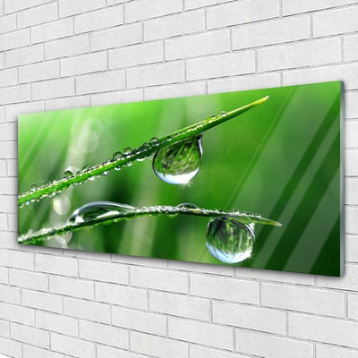 Glass Print Grass dew drops floral green