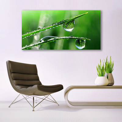 Glass Print Grass dew drops floral green