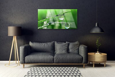 Glass Print Grass dew drops floral green