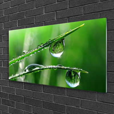 Glass Print Grass dew drops floral green