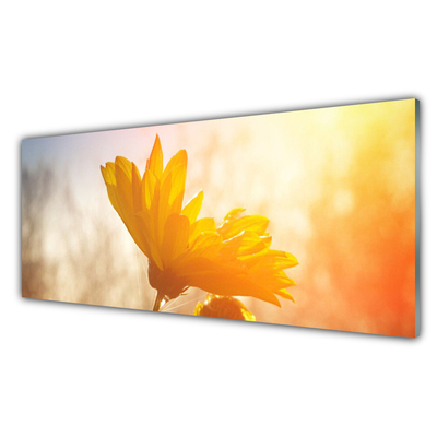 Glass Print Sunflower floral yellow