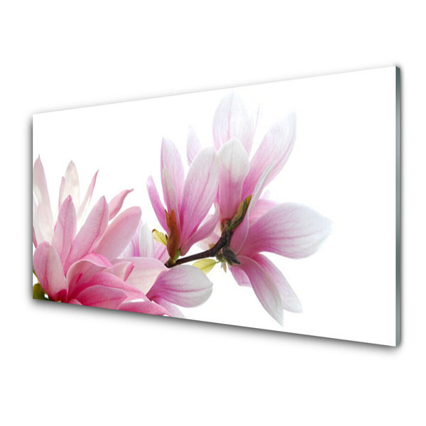 Glass Print Magnolia blossoms floral pink