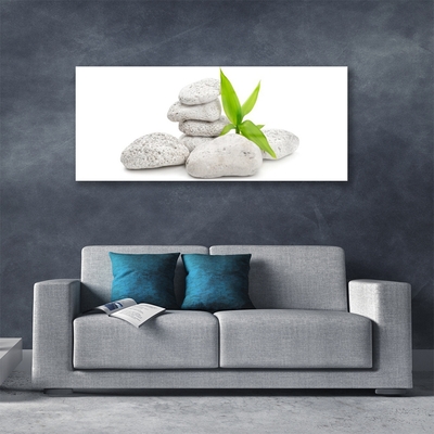 Glass Print Stones nature grey green white