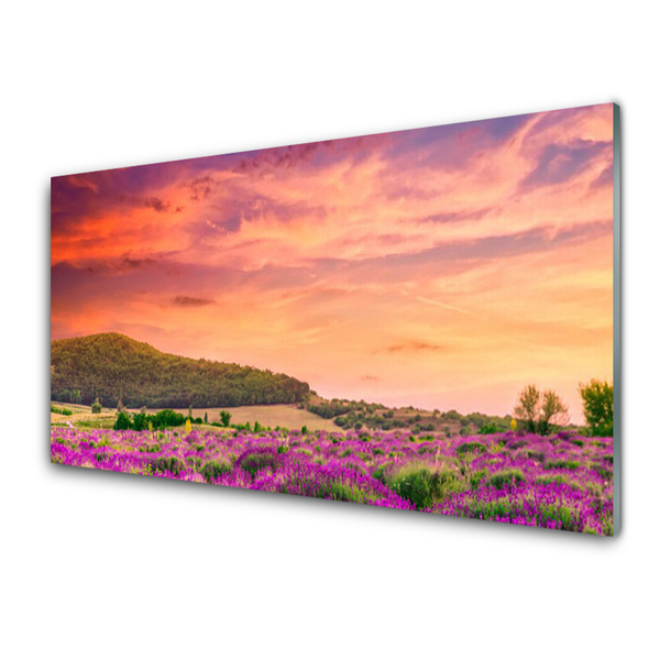 Glass Print Meadow flowers landscape purple green pink