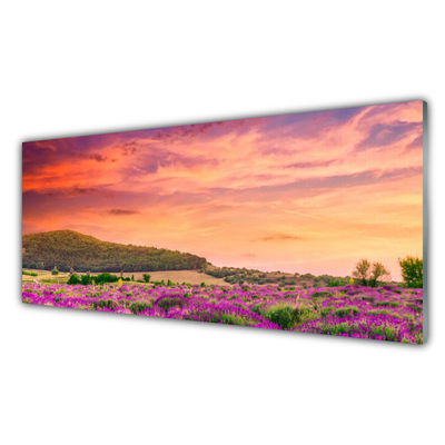 Glass Print Meadow flowers landscape purple green pink