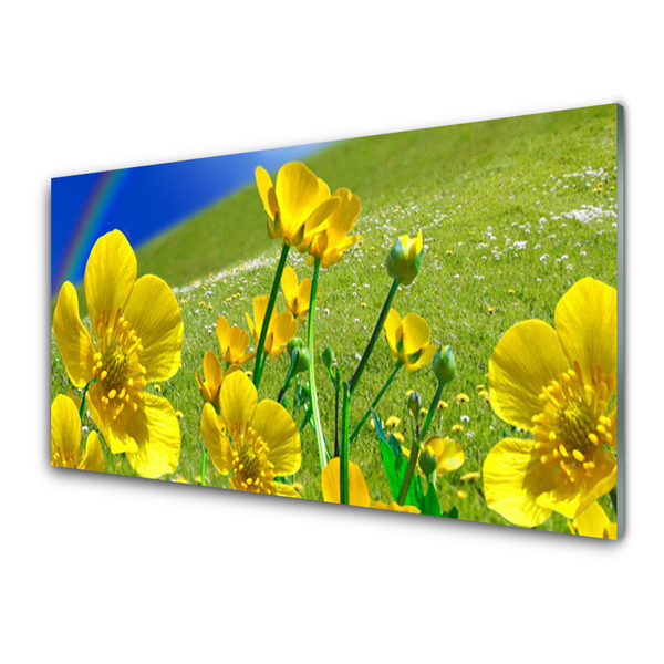 Glass Print Meadow flowers rainbow nature yellow blue green