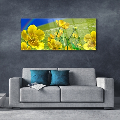 Glass Print Meadow flowers rainbow nature yellow blue green