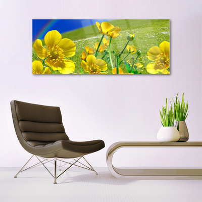 Glass Print Meadow flowers rainbow nature yellow blue green