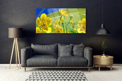 Glass Print Meadow flowers rainbow nature yellow blue green