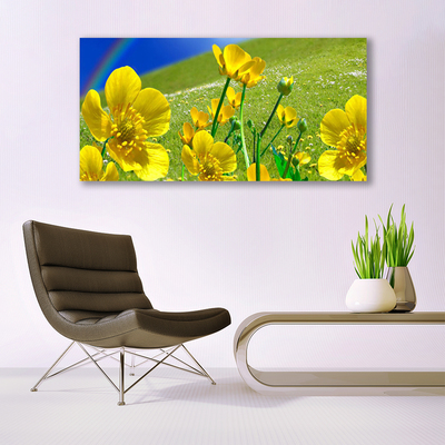 Glass Print Meadow flowers rainbow nature yellow blue green