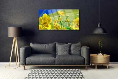 Glass Print Meadow flowers rainbow nature yellow blue green