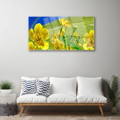 Glass Print Meadow flowers rainbow nature yellow blue green