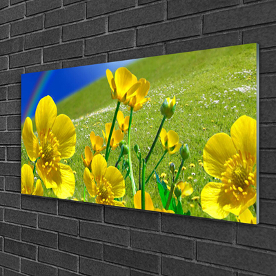 Glass Print Meadow flowers rainbow nature yellow blue green