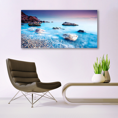 Glass Print Sea stones beach landscape blue grey pink