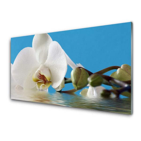 Glass Print Flower floral white green blue