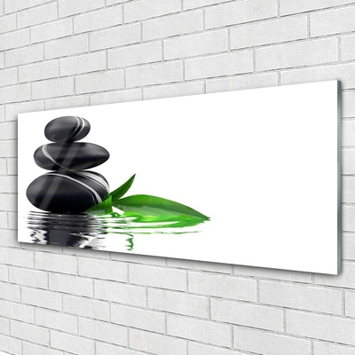 Glass Print Stones leaves water art black green white