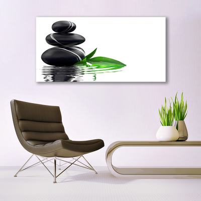 Glass Print Stones leaves water art black green white