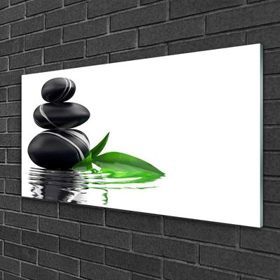 Glass Print Stones leaves water art black green white