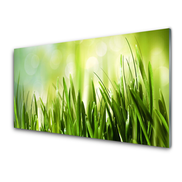 Glass Print Grass nature green