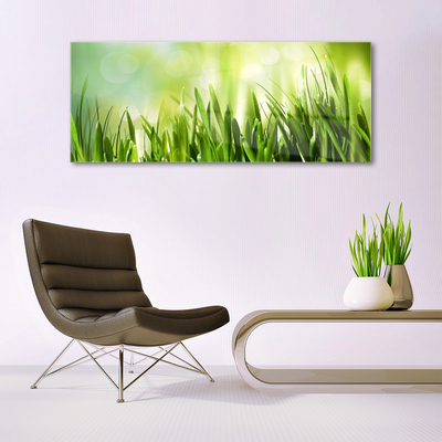 Glass Print Grass nature green