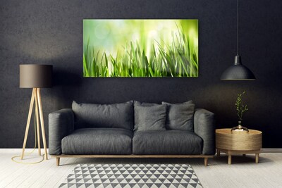 Glass Print Grass nature green