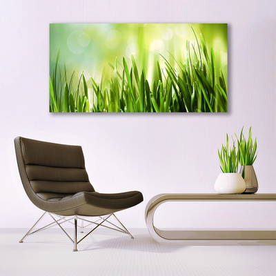 Glass Print Grass nature green