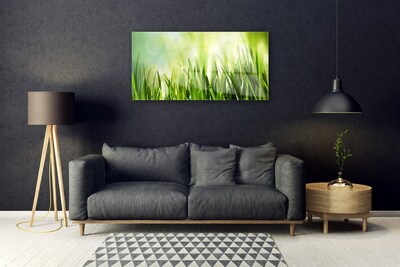 Glass Print Grass nature green