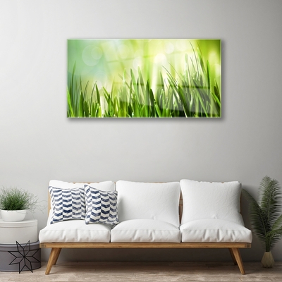 Glass Print Grass nature green