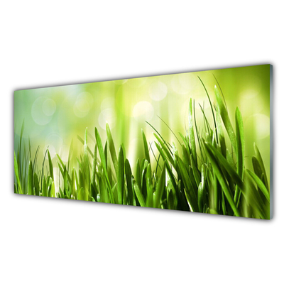 Glass Print Grass nature green