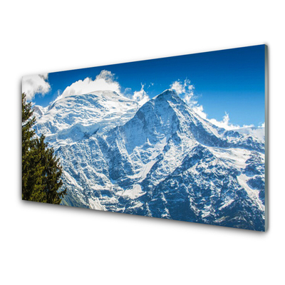 Glass Print Mountain tree landscape blue white green