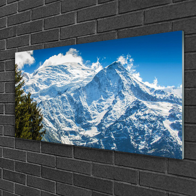 Glass Print Mountain tree landscape blue white green