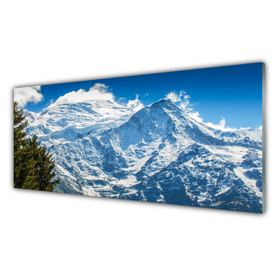 Glass Print Mountain tree landscape blue white green