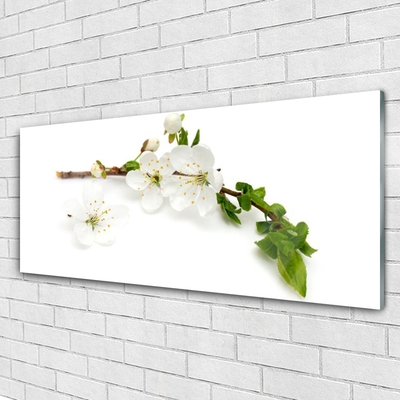 Glass Print Flower branch nature white brown green