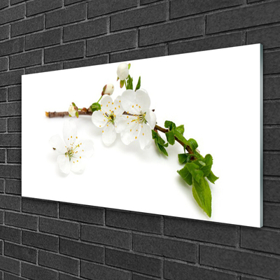 Glass Print Flower branch nature white brown green