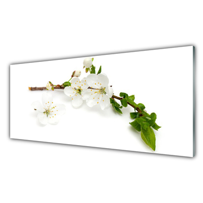 Glass Print Flower branch nature white brown green