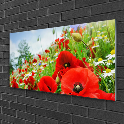 Glass Print Flowers nature red green