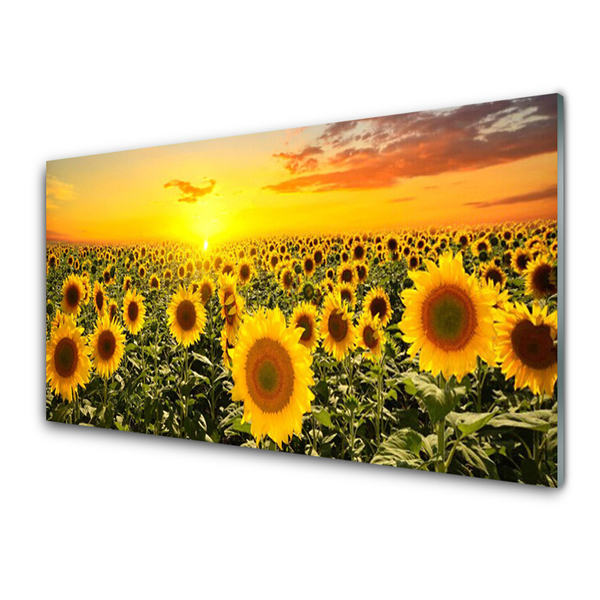 Glass Print Sunflowers floral yellow green