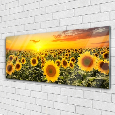 Glass Print Sunflowers floral yellow green