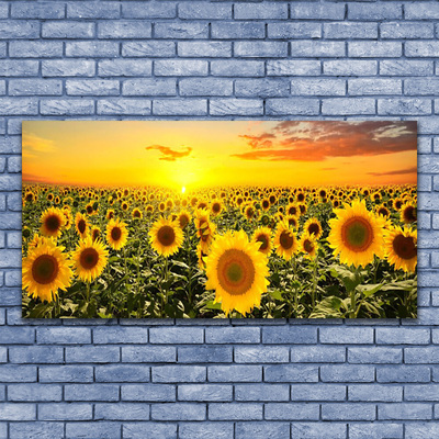 Glass Print Sunflowers floral yellow green