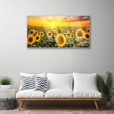 Glass Print Sunflowers floral yellow green