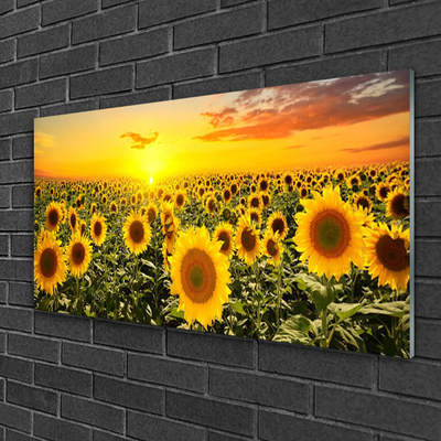 Glass Print Sunflowers floral yellow green