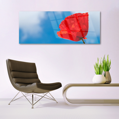 Glass Print Tulip floral red blue