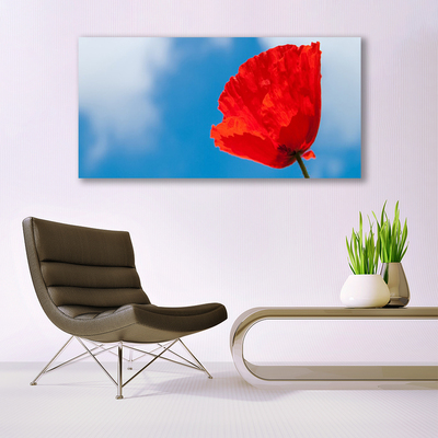 Glass Print Tulip floral red blue