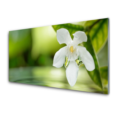 Glass Print Flower leaves floral white green