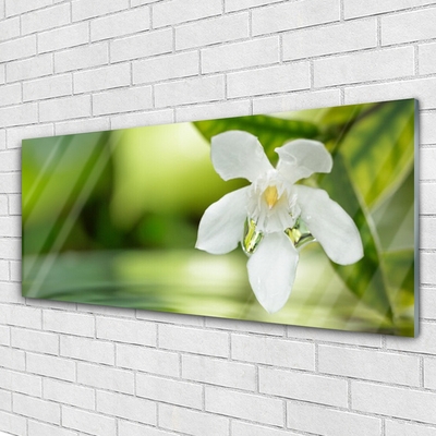 Glass Print Flower leaves floral white green