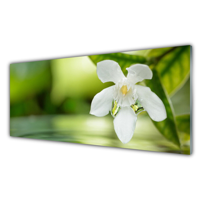 Glass Print Flower leaves floral white green