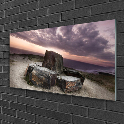 Glass Print Rock landscape grey pink